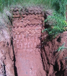 Soil conditions at the site consisted of compact, fine sandy loam glacial till with layers of sandstone rock. 